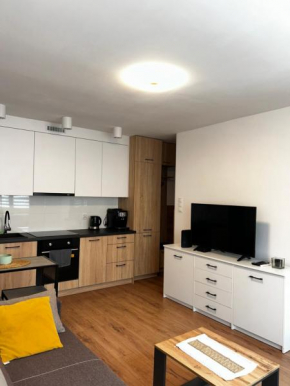Apartament Julia 1-3 os parter Centrum